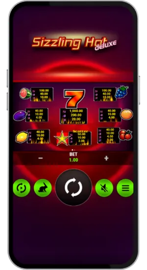 Paytable overview with symbol payouts